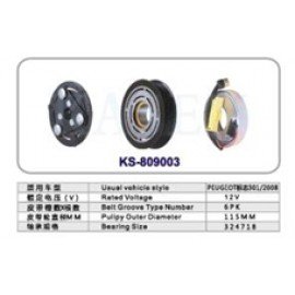 809003 PEUGEOT 301 CITROEN C ELIZE KASNAK SETİ